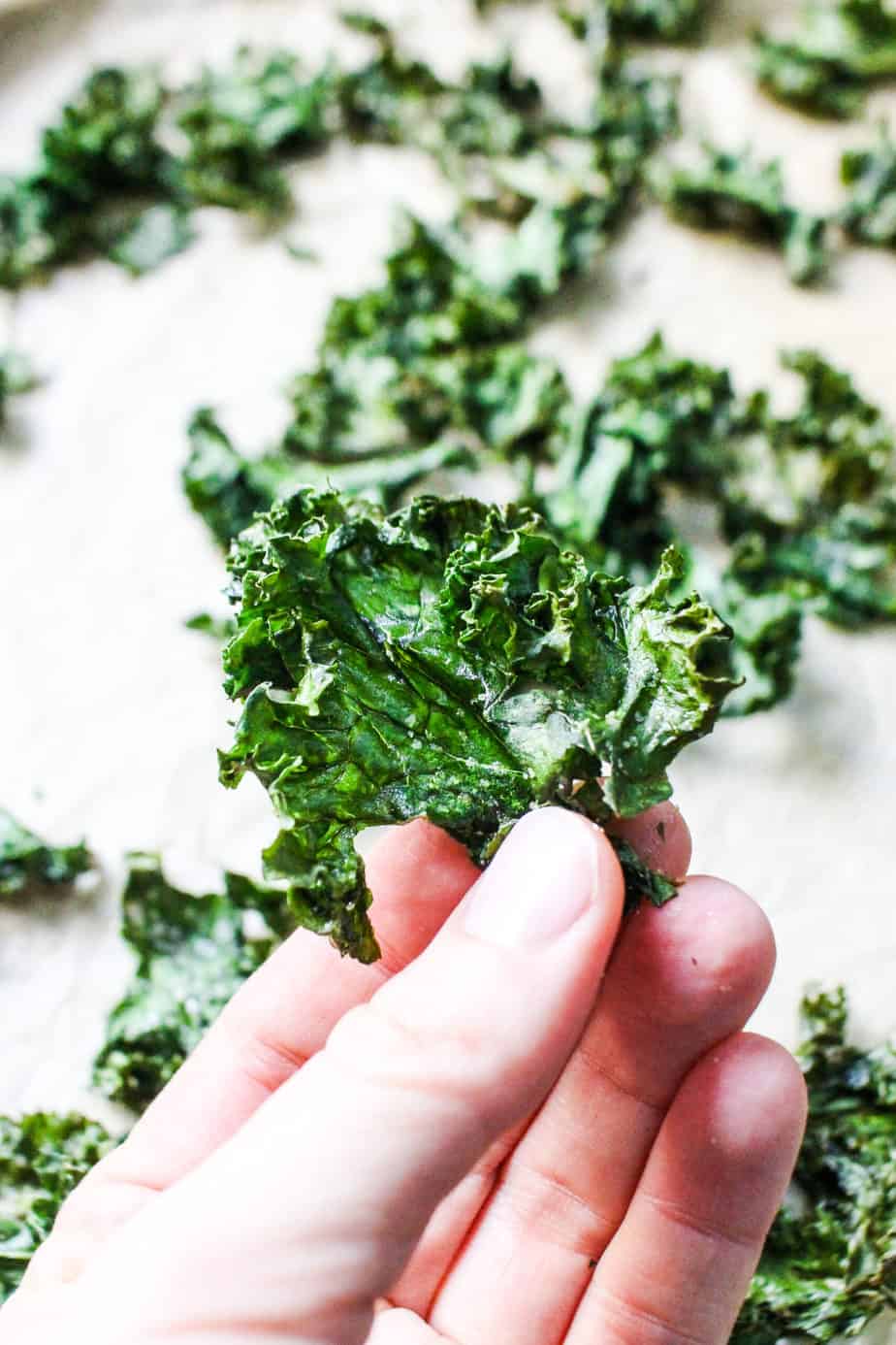 white hand holding a crispy kale chip with a background of kale chips on parchment paper