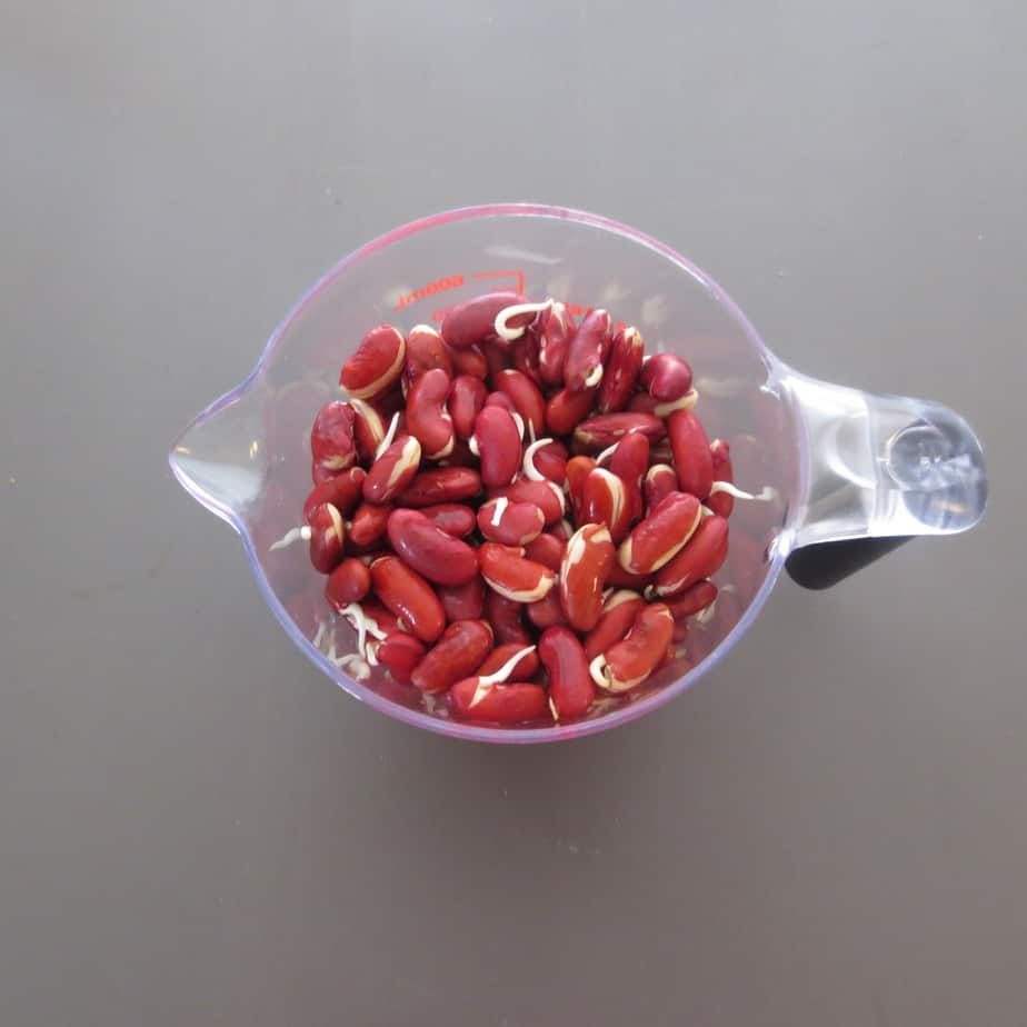 Sprouted Kidney Beans