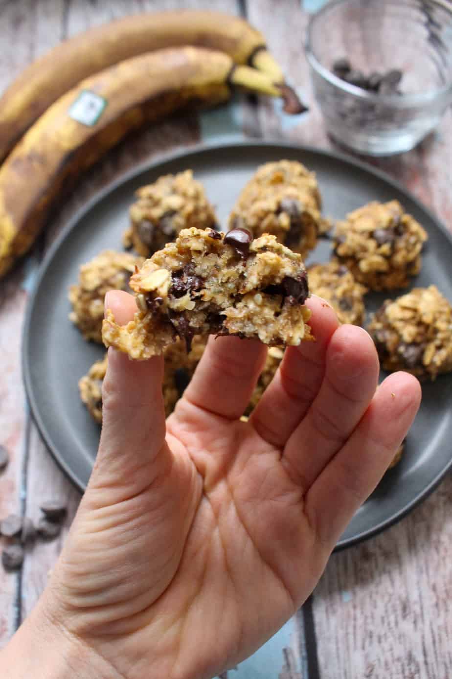 hand holding a fresh cookie with a bite taken out of it