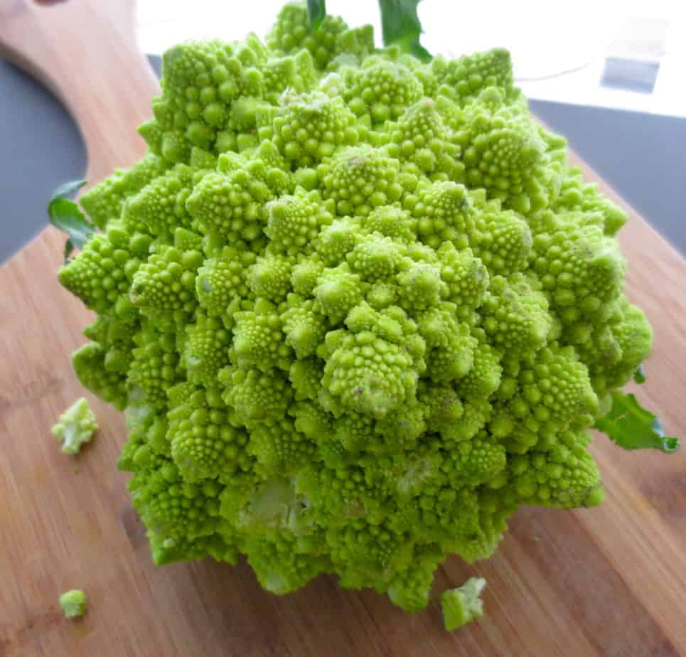 Broccoli Romanesco Fractals