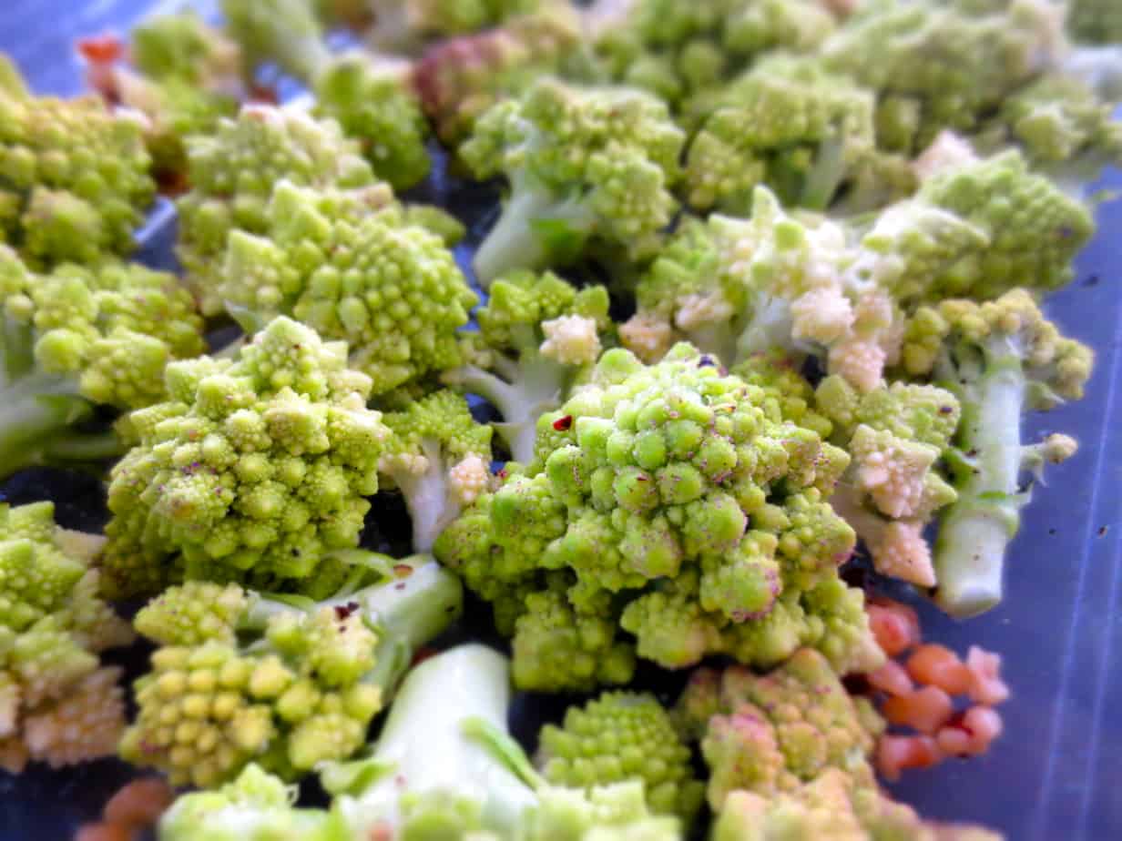 Broccoli Romanesco Florets