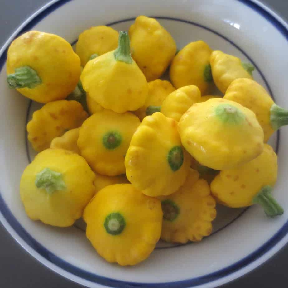 Fresh Pattypan Squash