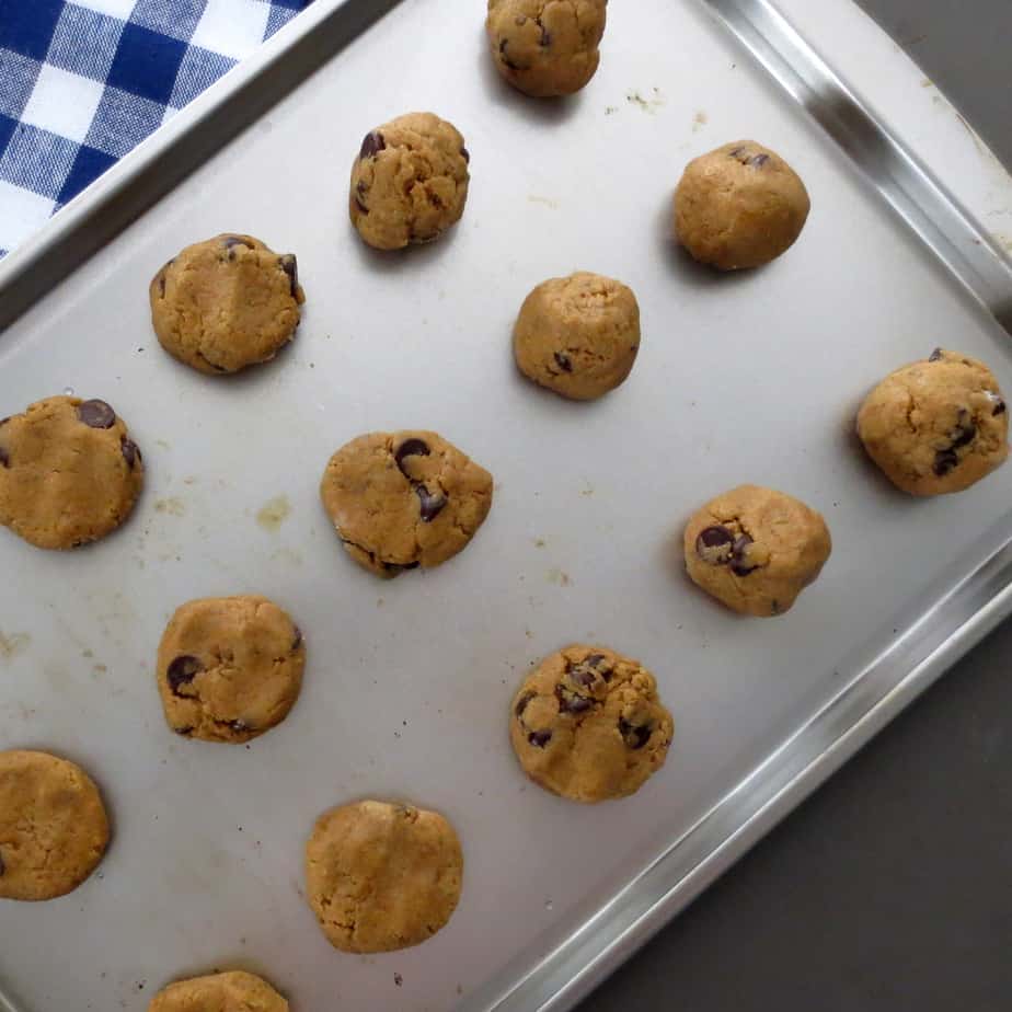 Whole Wheat Chocolate Chip Cookie Dough