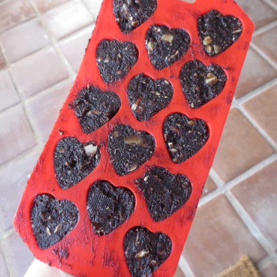 Molded Chocolate Peppermint Fruit & Nut Bites