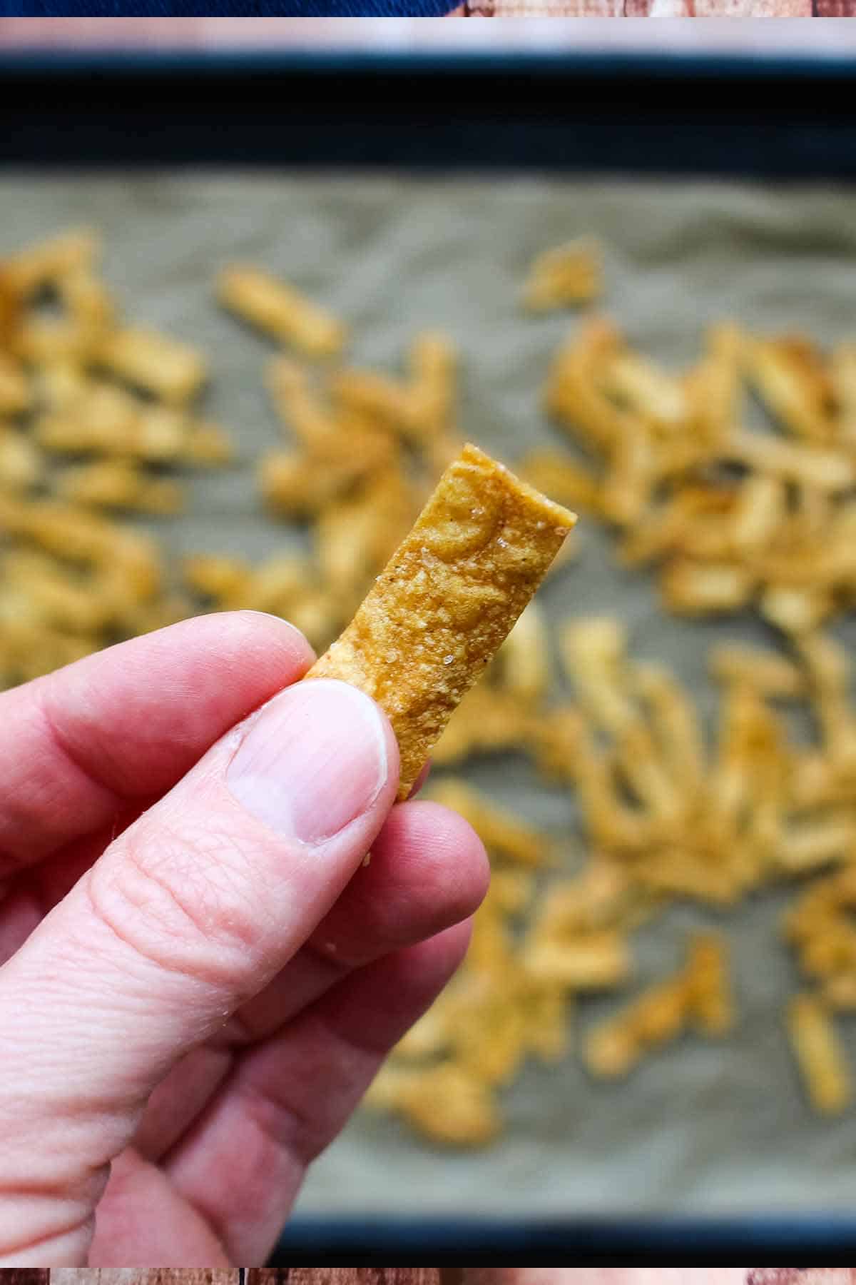 A hand holding up a crispy tortilla strip.