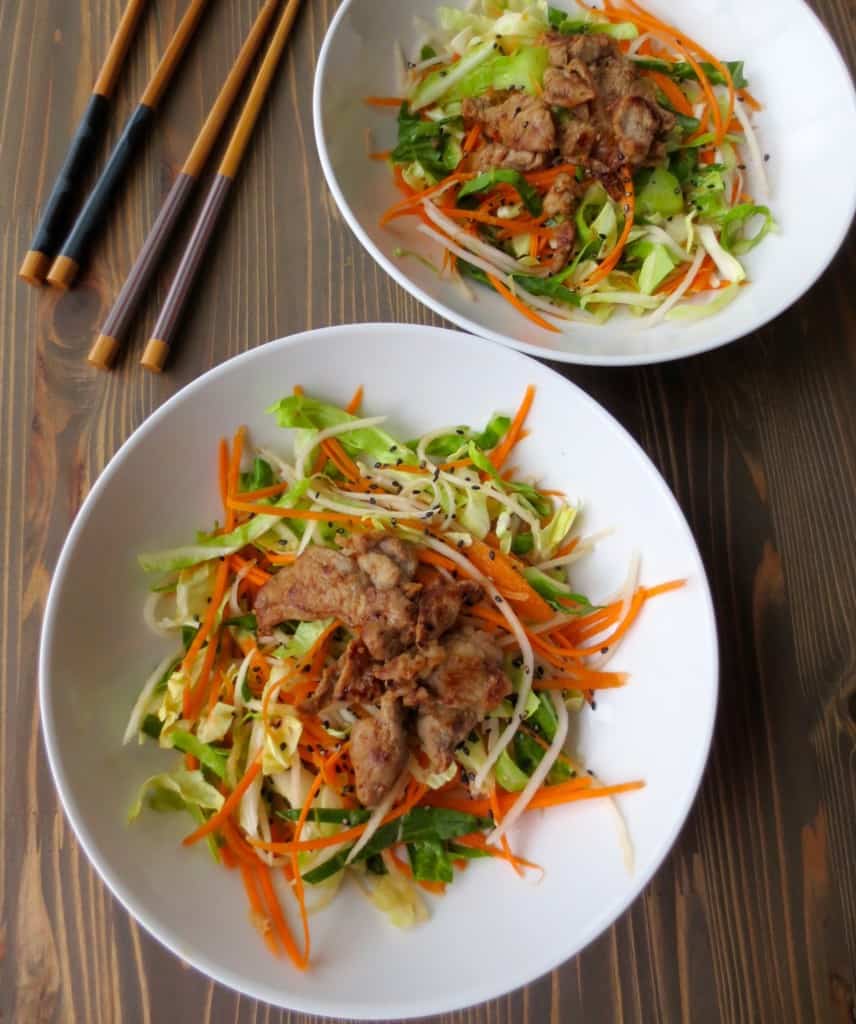 Ginger Cabbage Slaw with Beef | Frugal Nutrition 