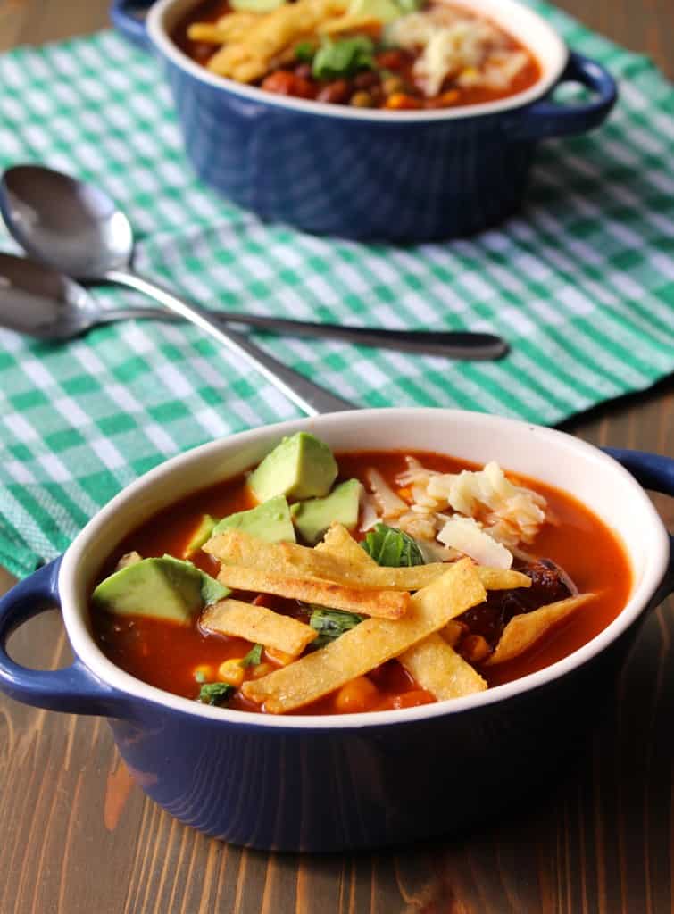 Homemade Red Enchilada Soup - Easy! By Frugal Nutrition