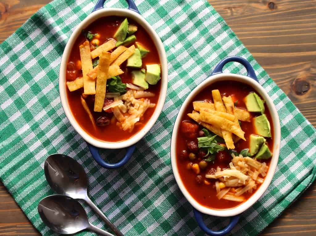 Vegetarian Red Enchilada Soup | Frugal Nutrition