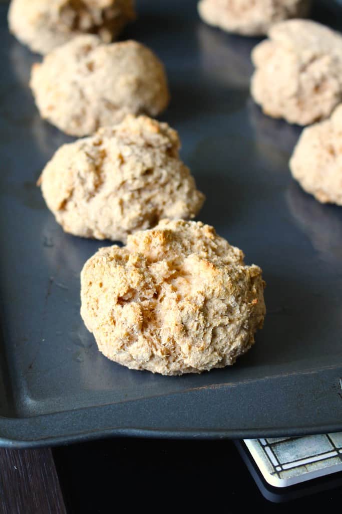 Whole Wheat Yogurt Biscuits | Frugal Nutrition
