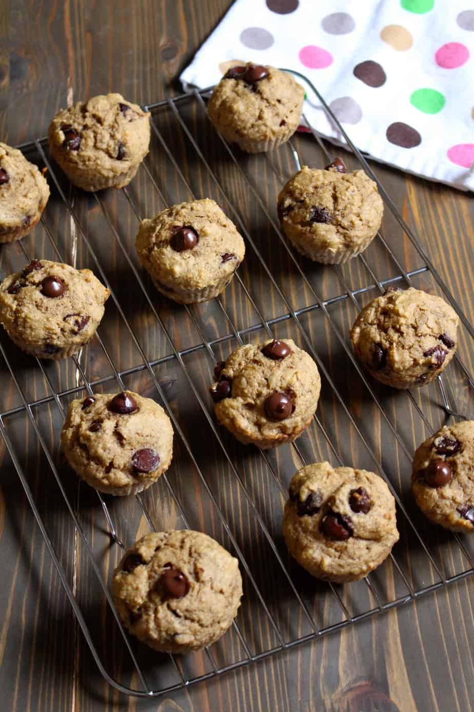 Whole Wheat Dark Chocolate Banana Applesauce Muffins | Frugal Nutrition