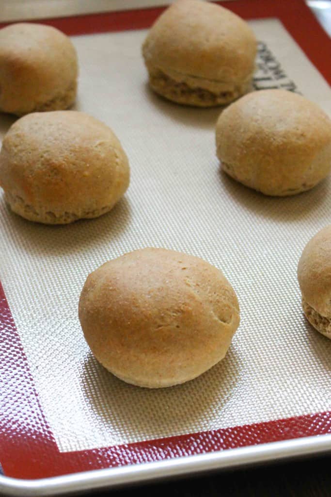 Homemade Whole Wheat Burger or Dinner Buns | Frugal Nutrition