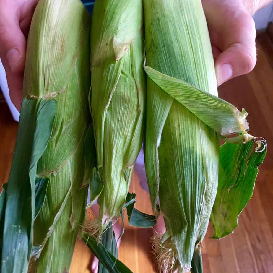 Corn on the Cob | Frugal Nutrition #hungryharvest