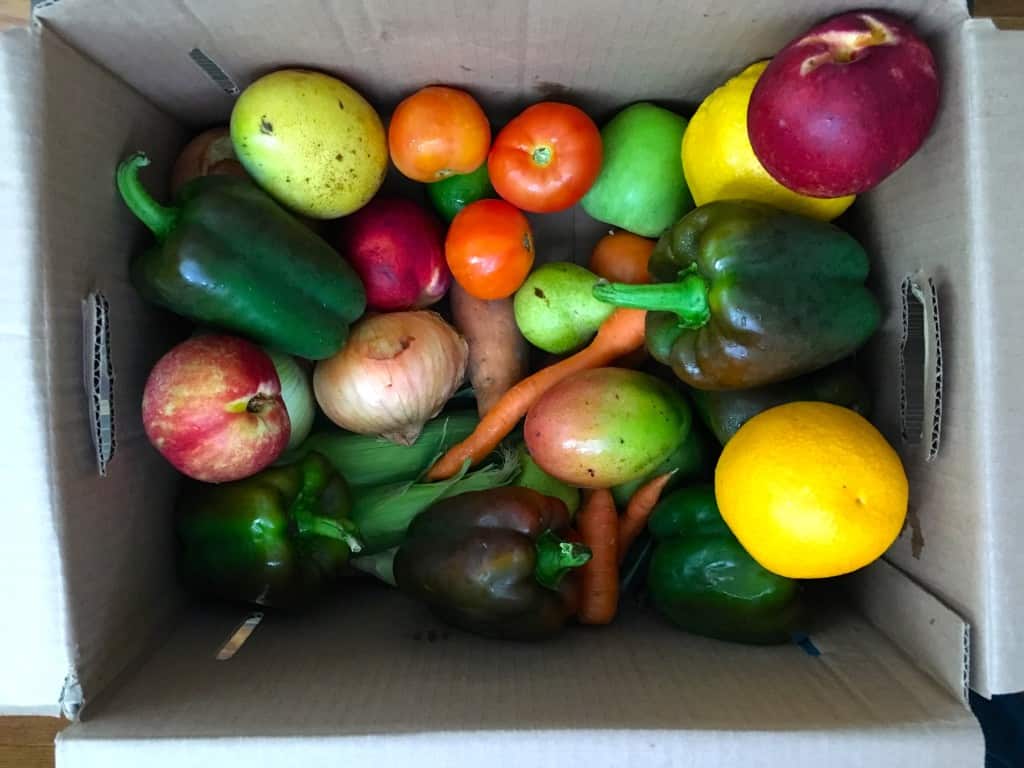 Hungry Harvest Box | Frugal Nutrition