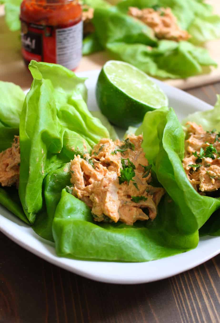 Thai Red Curry Chicken Lettuce Wraps | Frugal Nutrition