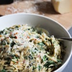 One Pot Creamy Parmesan Orzo with Spinach | Frugal Nutrition