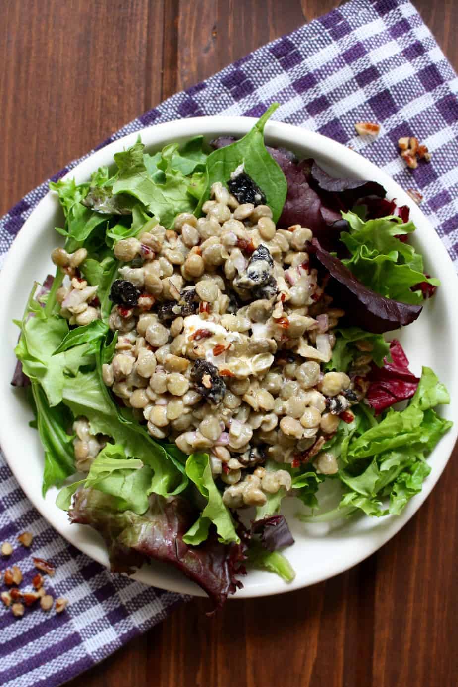 Lentil Goat Cheese Cherry Salad | Frugal Nutrition