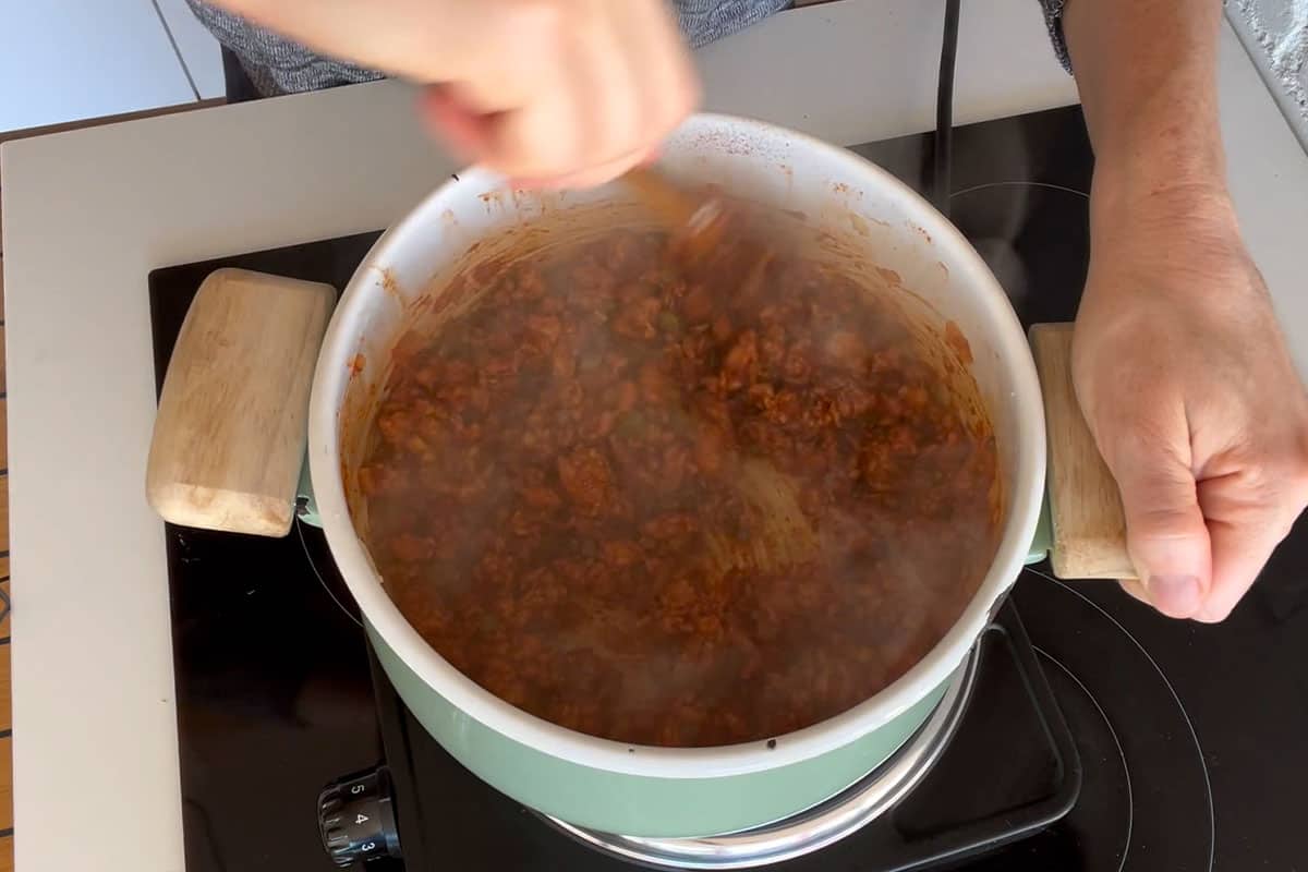 Spices mixed in with ground turkey, onions and garlic.