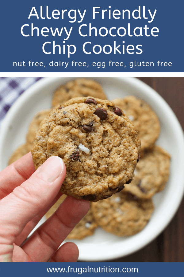 ANY Butter Chocolate Chip Cookies _ Frugal Nutrition