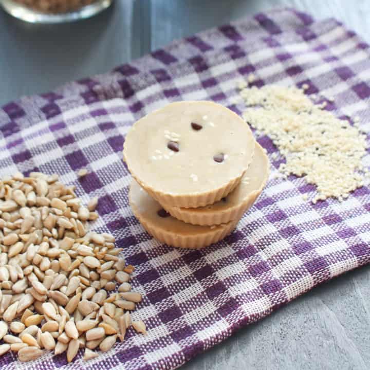 Unsweetened Tahini & Sunflower Seed Fudge (Seed Cycling) Frugal Nutrition