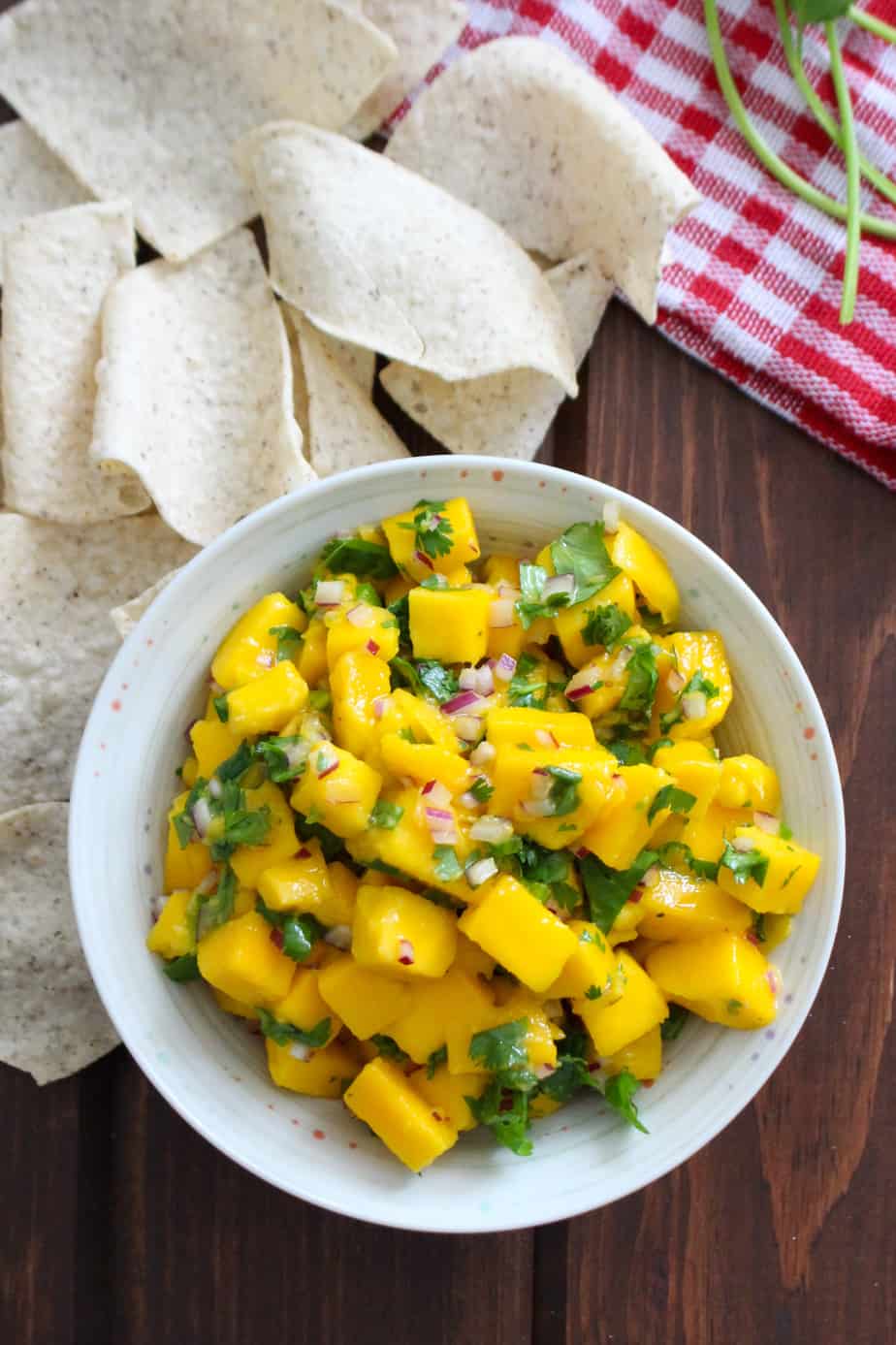 Spicy Mango Salsa | Frugal Nutrition