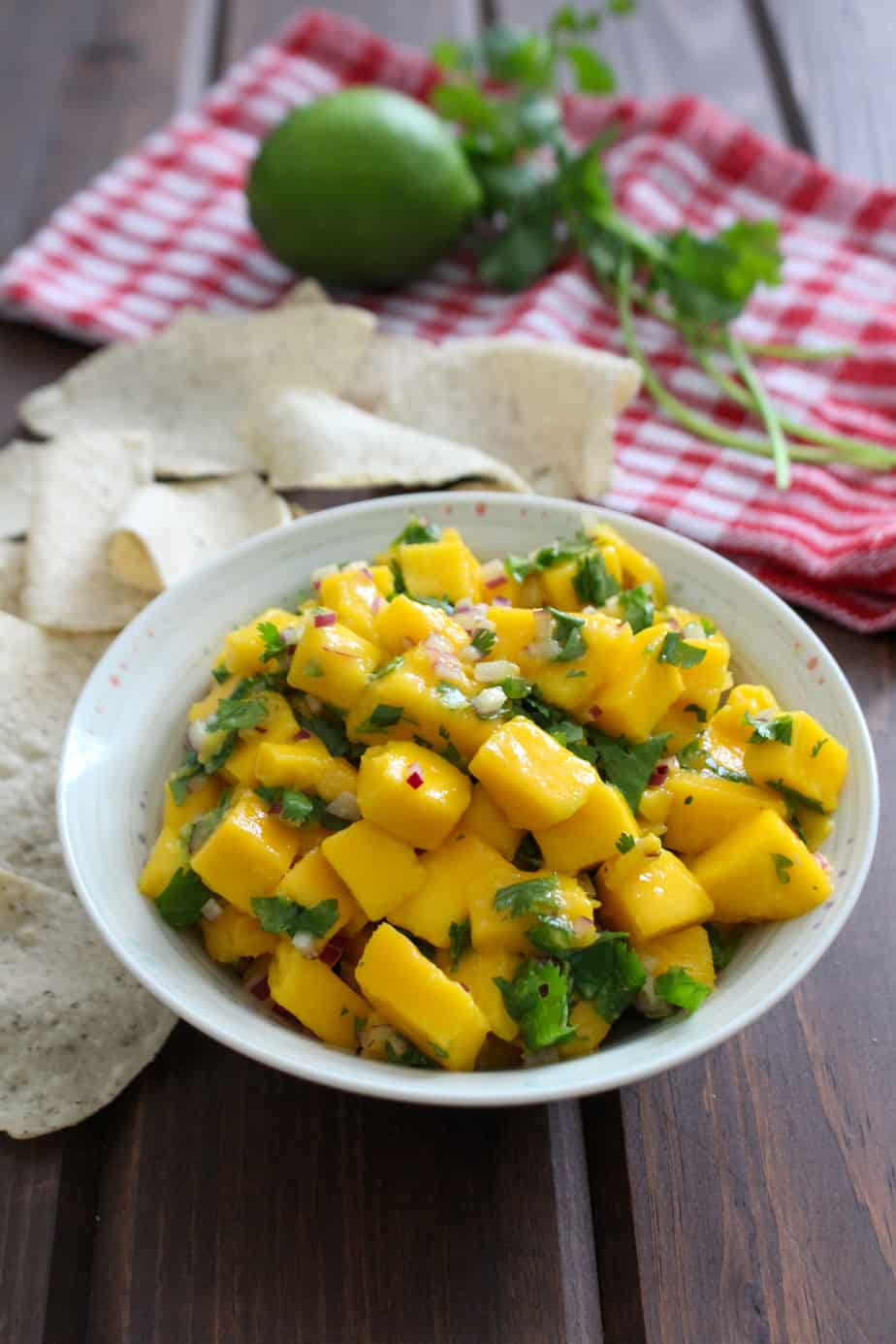 Easy Spicy Mango Salsa | Frugal Nutrition