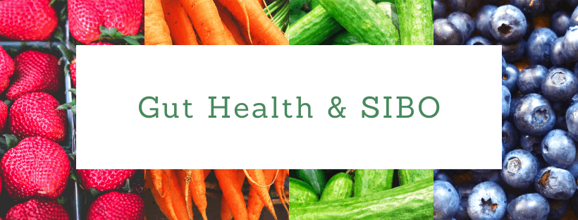 Gut Health and SIBO