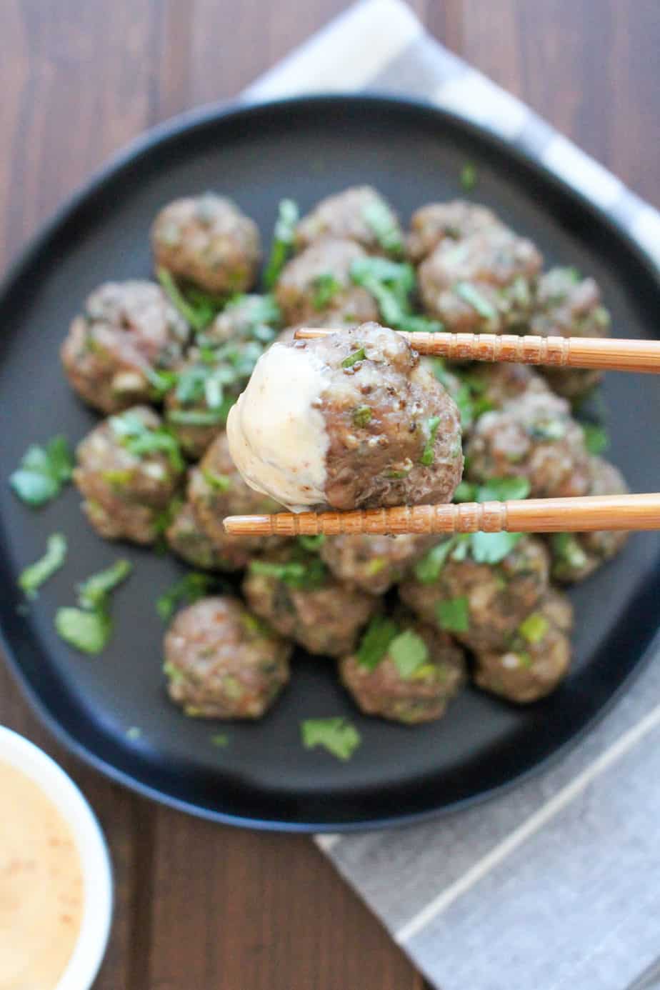 Vietnamese Meatballs (Bun Cha) | Frugal Nutrition