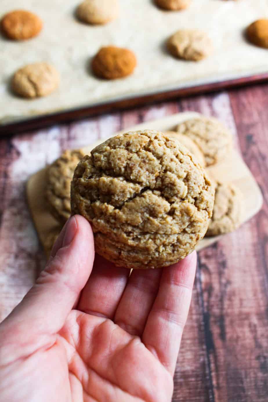 hand holding a pale colored cookie