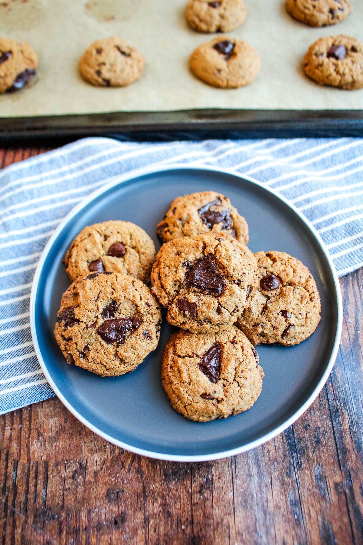 A plate of gluten free chocolate chip cookies with more on a tray behind it.